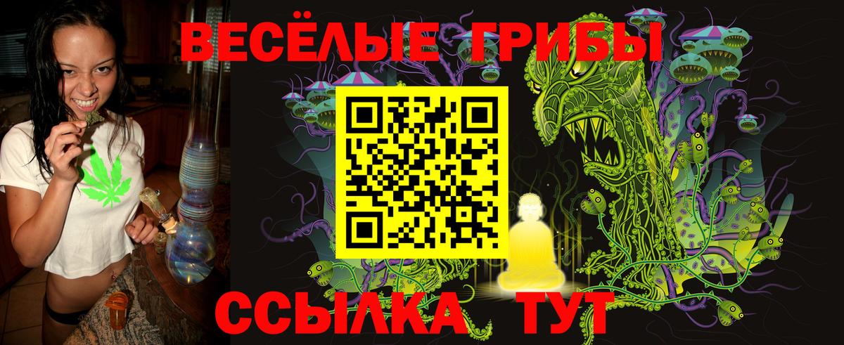 Златоуст  Галлюциногенные грибы GOLDEN TEACHER  Галлюциногенные грибы Psilocybine cubensis  Вход с VPN 