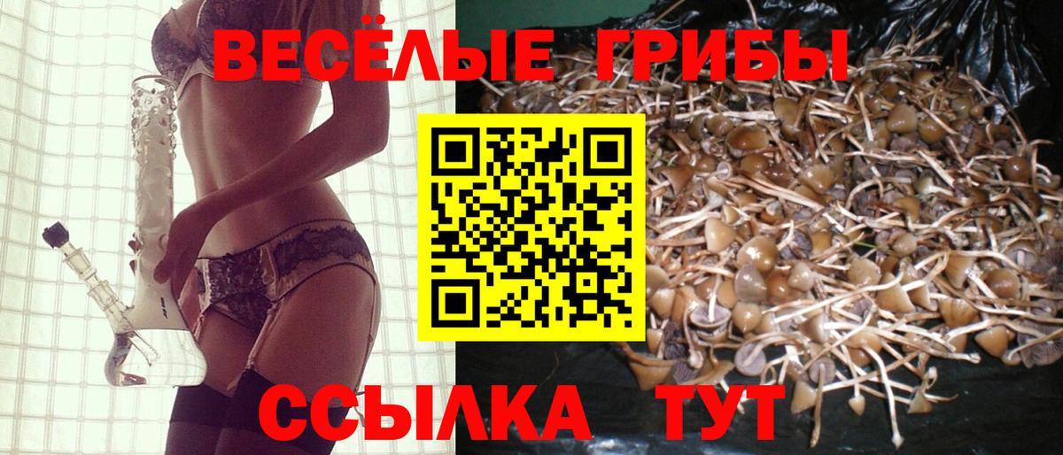 Галлюциногенные грибы мицелий Златоуст